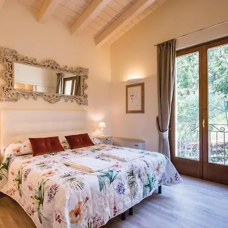 Edera * Castellina in Chianti
