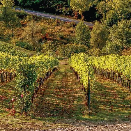 Appartamento Edera Castellina in Chianti